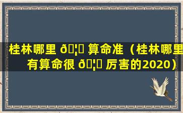 桂林哪里 🦉 算命准（桂林哪里有算命很 🦍 厉害的2020）